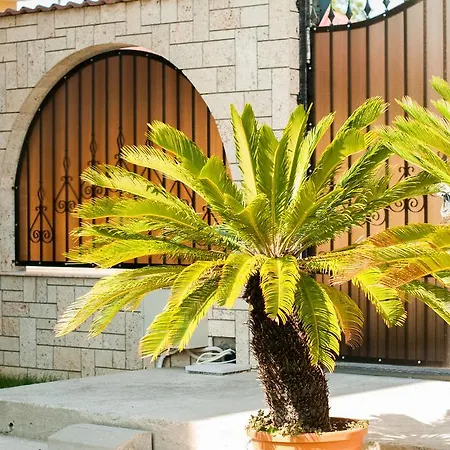 Complex Adal בקתה אפורי נורד