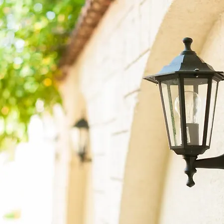 Complex Adal אפורי נורד