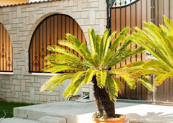 Complex Adal シャレー エフォリエ・ノルド