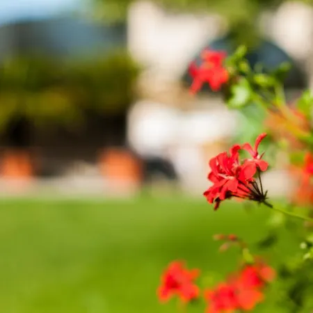 Complex Adal * Eforie Nord