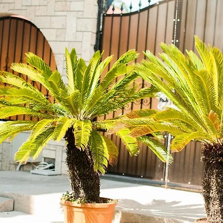 Complex Adal Eforie Nord