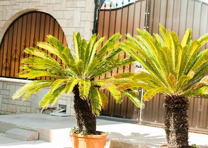 Complex Adal Észak-Eforie